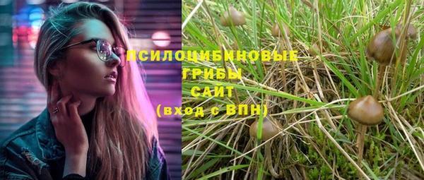 MDMA Пролетарск
