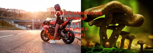 тгк Приозерск
